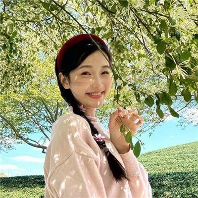 档案风暴